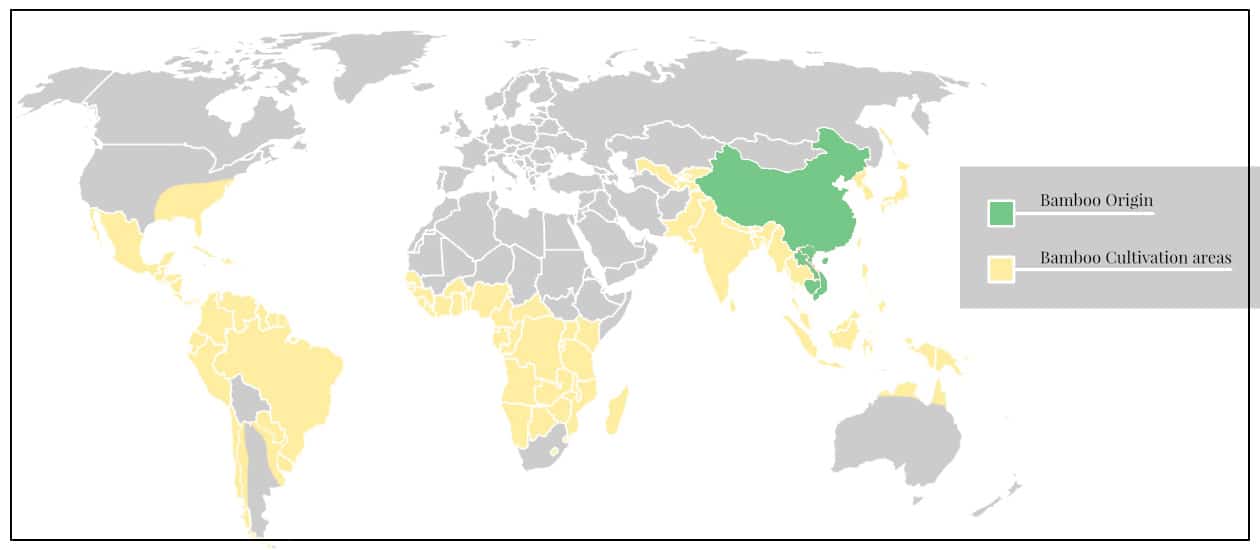 Map of the world showing bamboo origin and bamboo cultivation areas