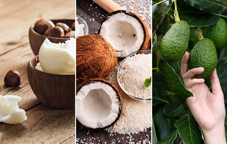 natural hair care ingredients: shea butter in a wooden bowl with shea nuts, coconut, and avocados.