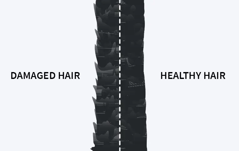 On the left, a damaged hair shaft; on the right, a smooth, healthy one.