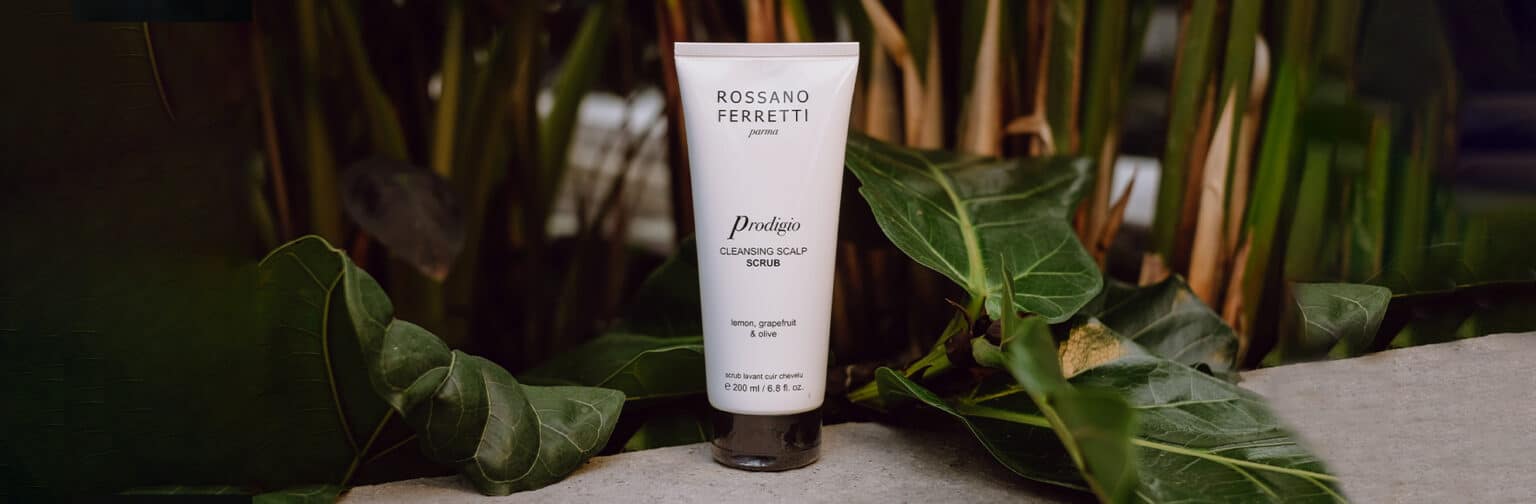 How to take care of your scalp (and why it’s so important!) Rossano