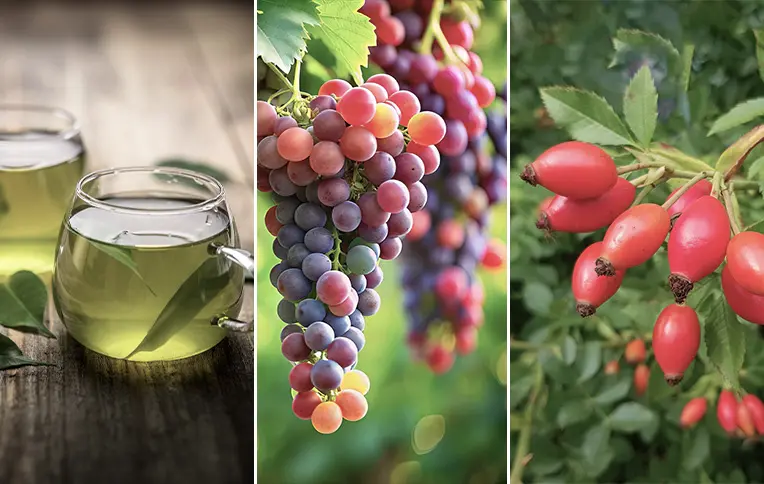 Carousel of images featuring green tea, red grape, and rosehip.