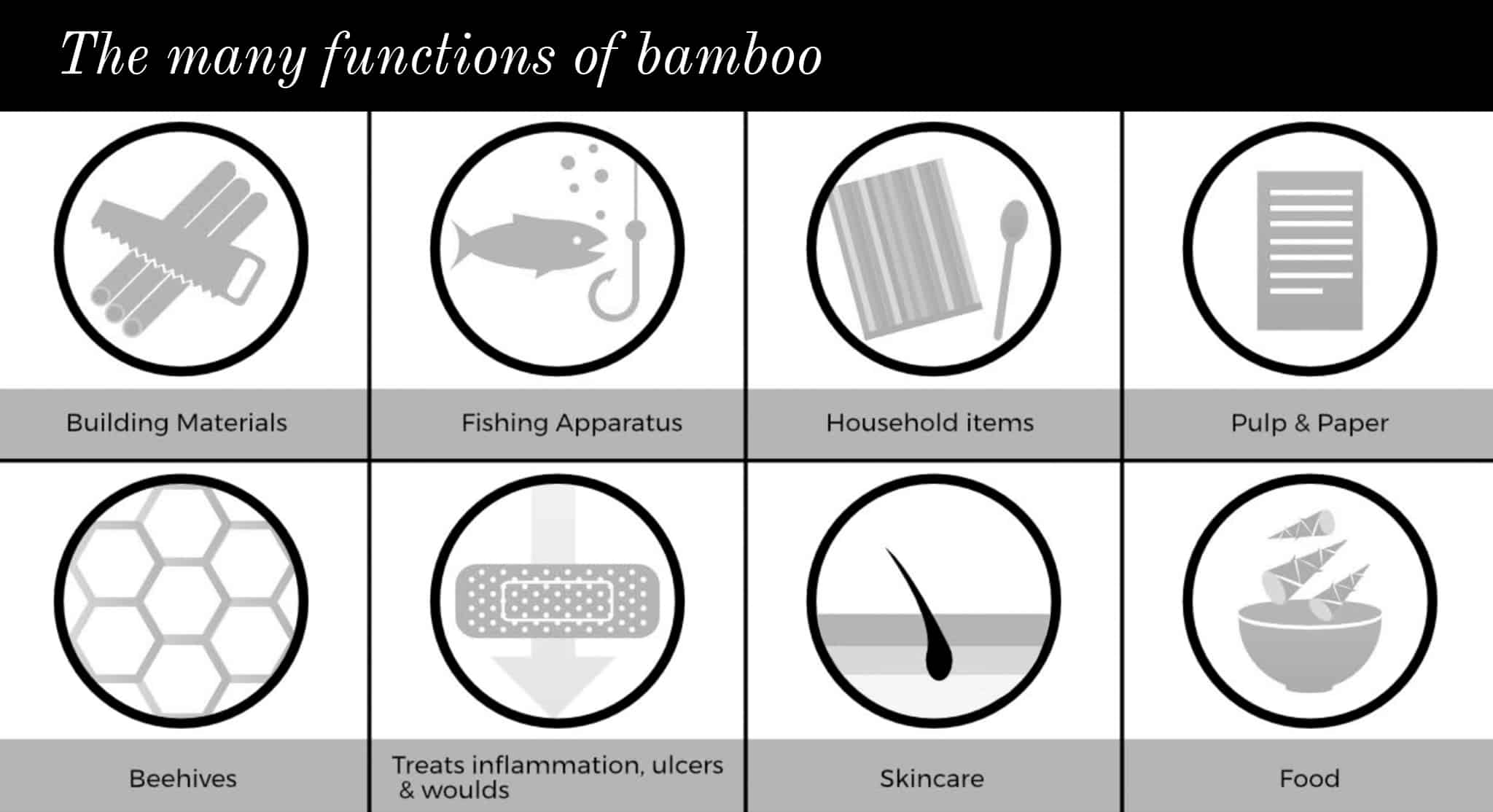 The many functions of bamboo explained with various icons
