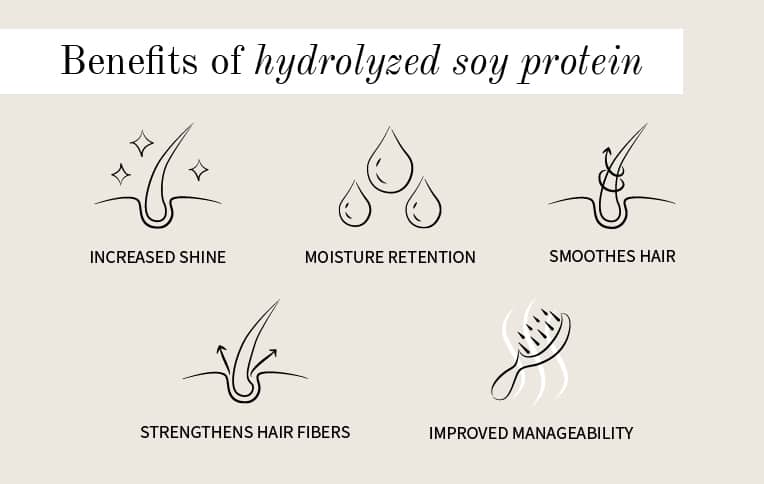 Hair Care Wonders of Soy Protein | Rossano Ferretti US